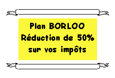Zone de Texte: Plan BORLOOR�duction de 50% sur vos imp�ts